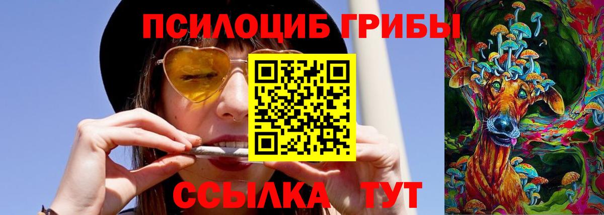Галлюциногенные грибы мухоморы  Галлюциногенные грибы GOLDEN TEACHER  Вход с VPN  Советск 